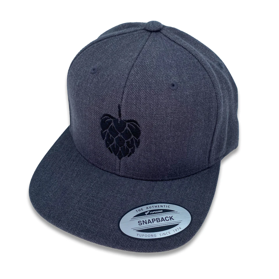 Folkingebrew Snapback Gray
