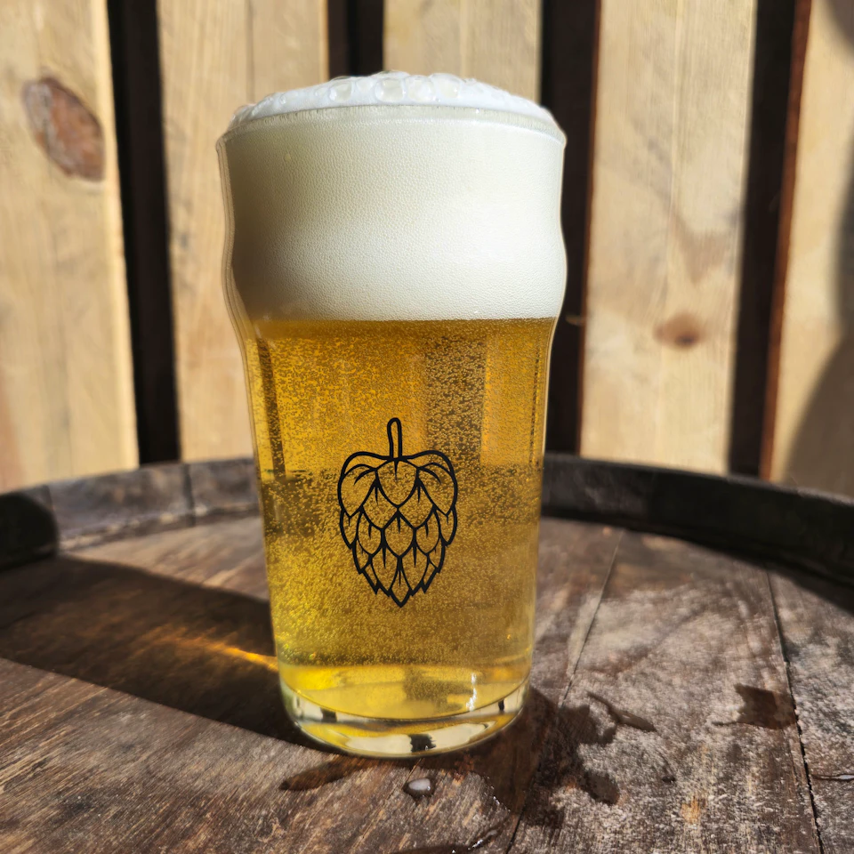 Pint Glass 'Nonic'