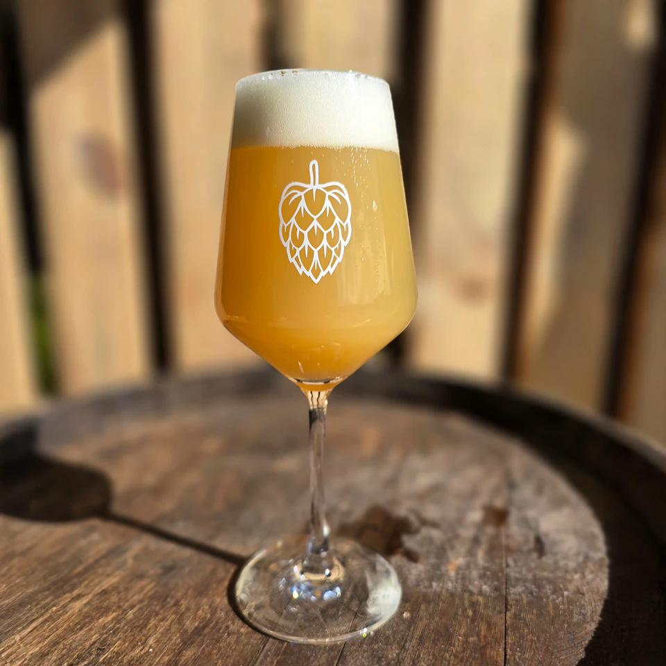 Taste Glass 'Harmony'